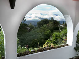 View from the terrace