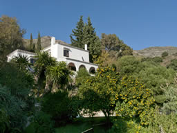 The house viewed from the pool