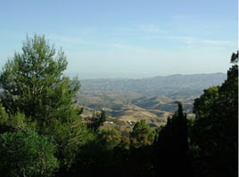 View from the gardens