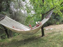 Hammock under the pepper trees