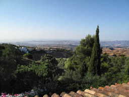 View from Master Bedroom