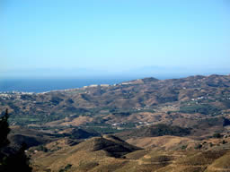 View from the terrace